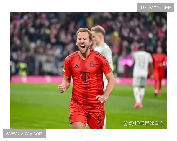 德甲中小球队排名及发展潜力评估