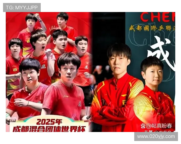 WTT世界杯是否属于乒坛三大赛事权威解析地位与含金量全面探讨